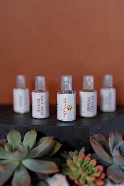 5 Piece Premium Attar Bundle (12ml Full Tola)